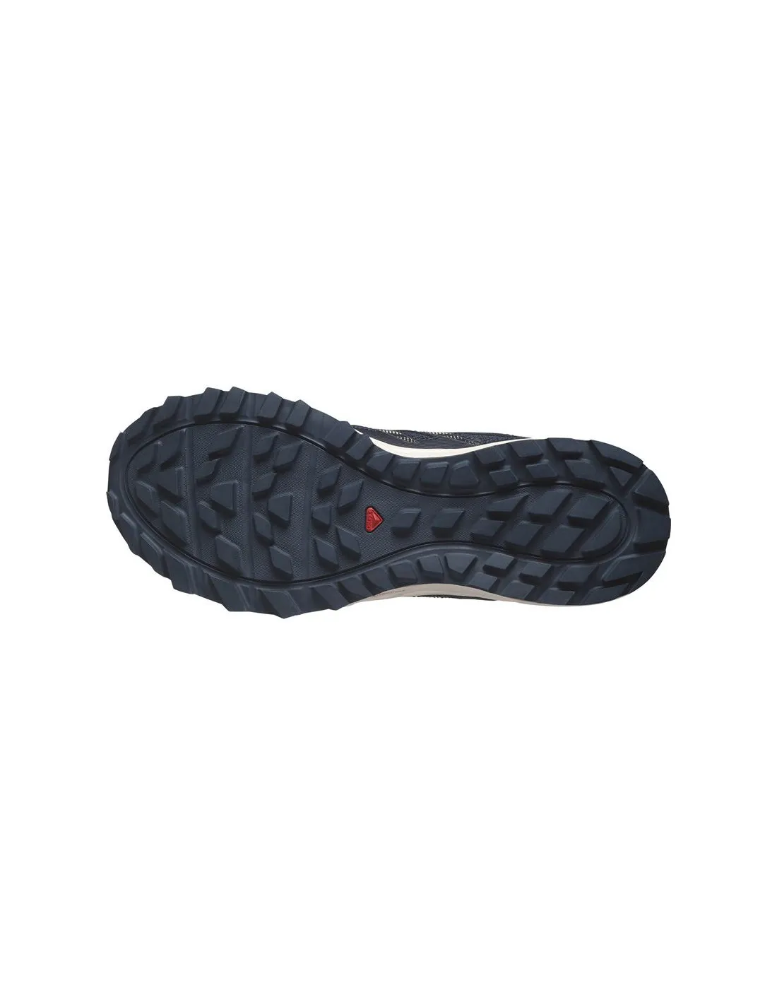 Chaussures Trail Salomon de Wander Carbon/India Ink/Almbuf Homme