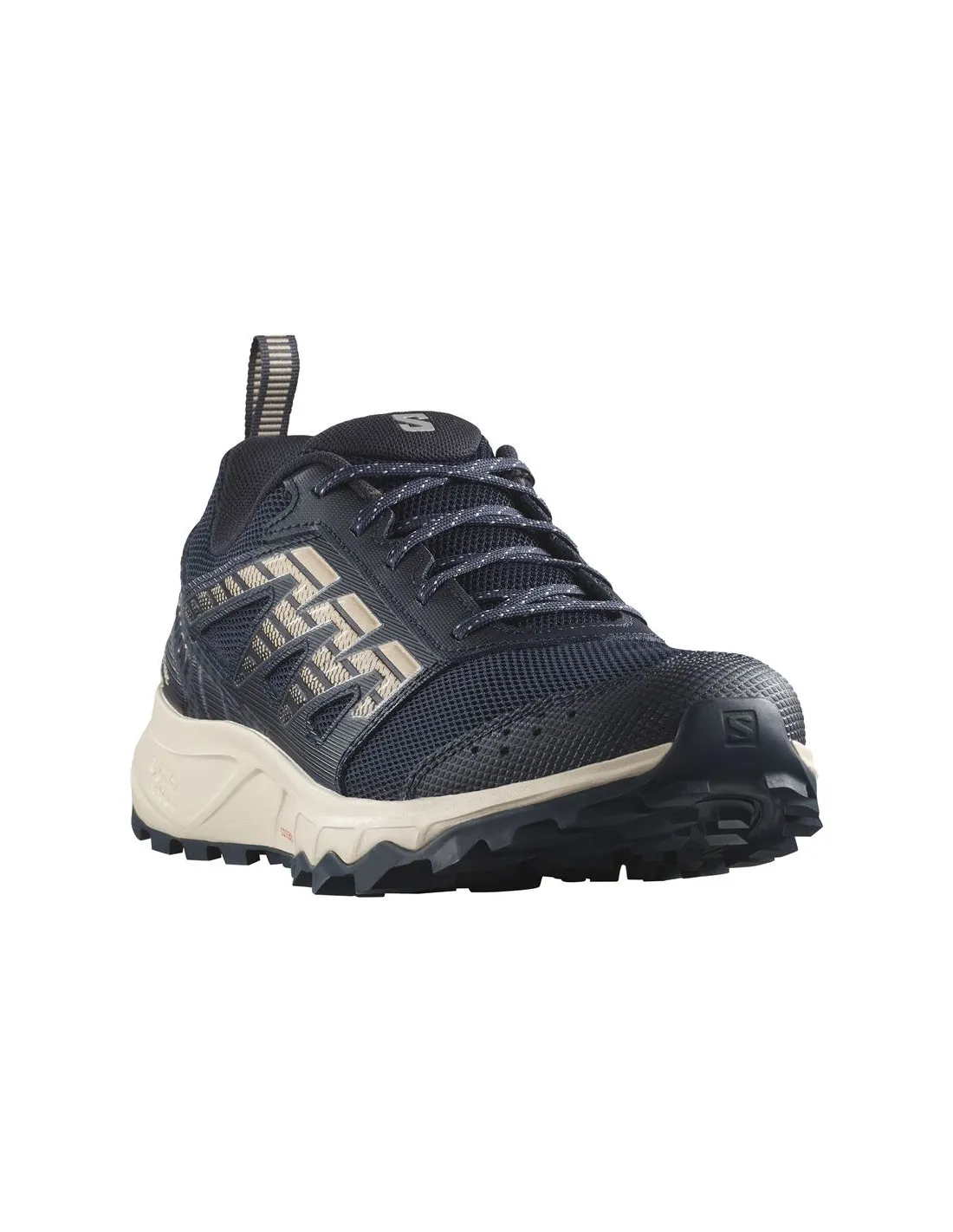 Chaussures Trail Salomon de Wander Carbon/India Ink/Almbuf Homme