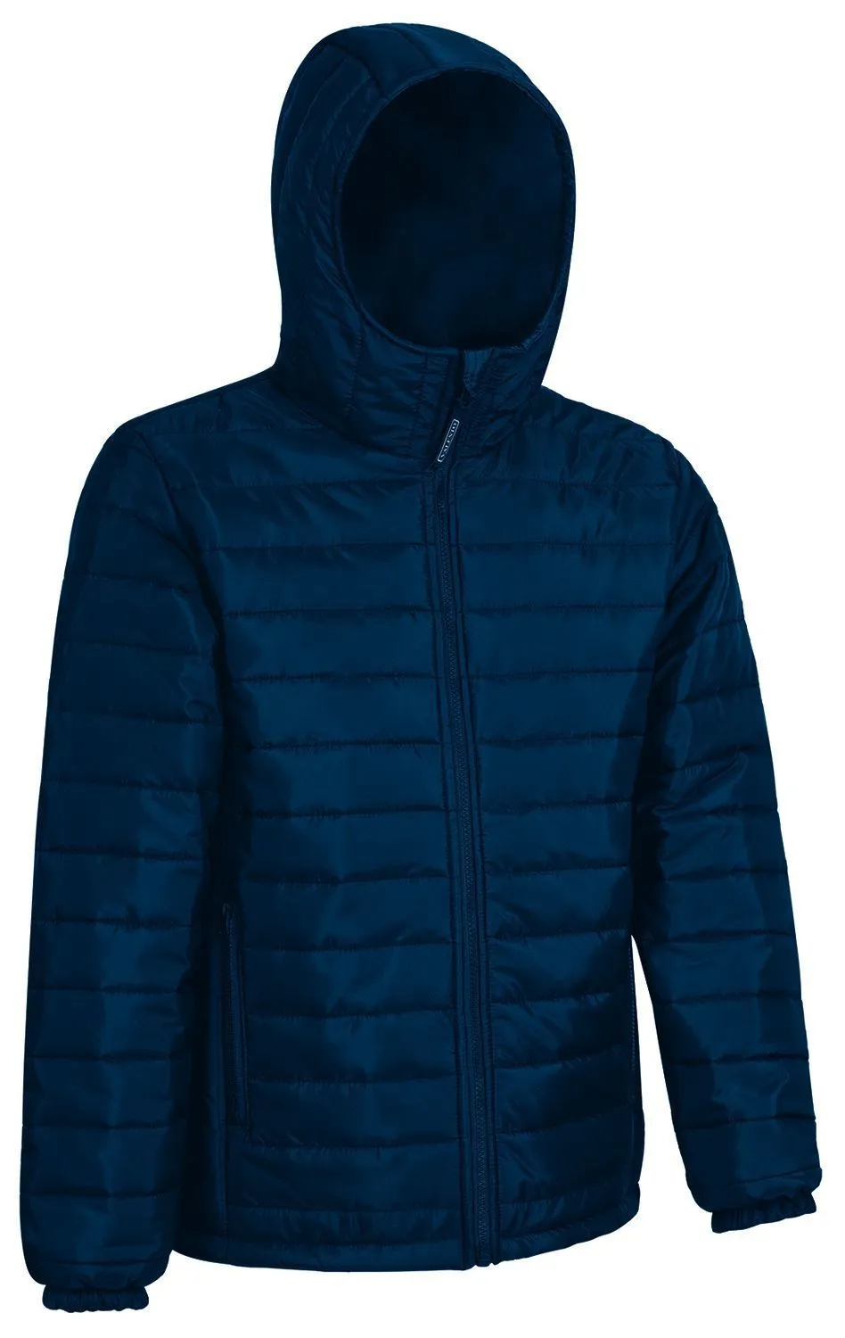 Doudoune à capuche - Homme - MARCUS - bleu marine 