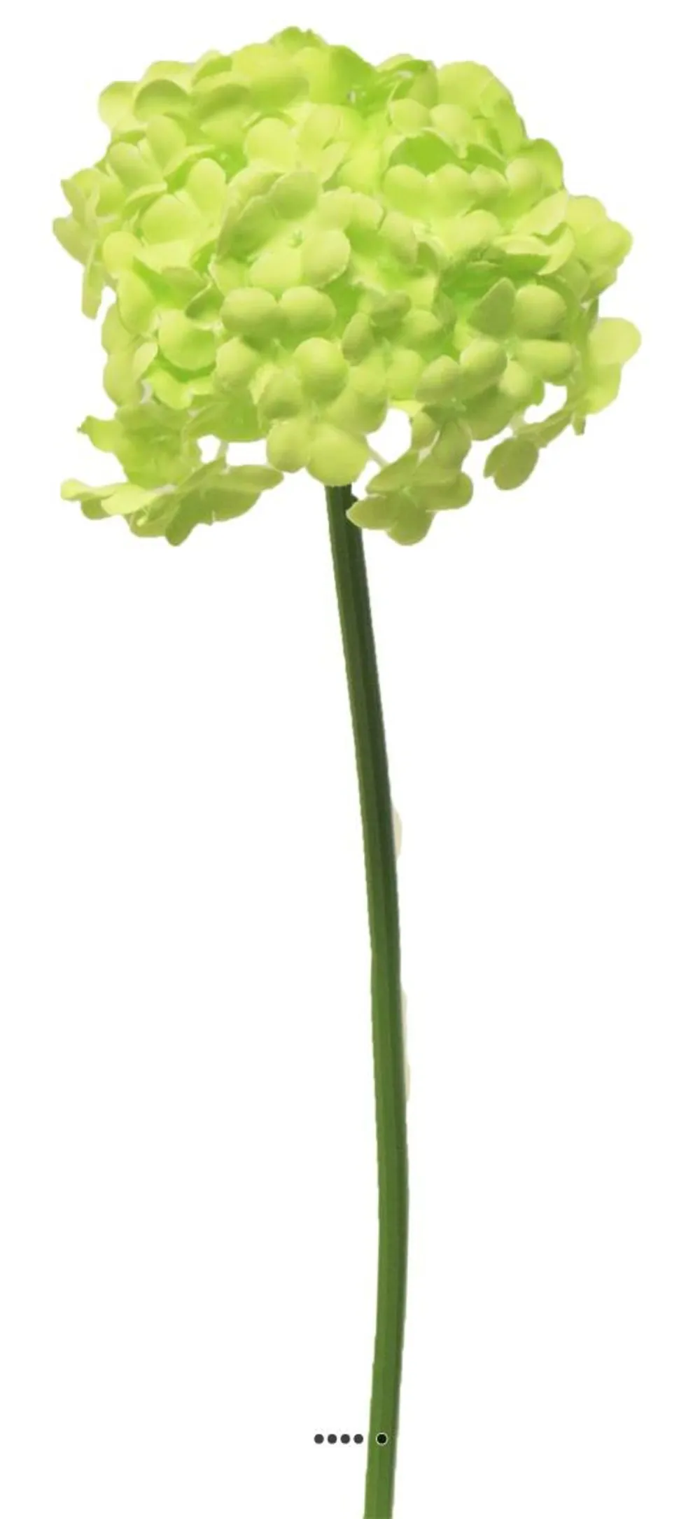 Fleurs de viorne artificielles en tige, h 30 cm vert - best - couleur: vert